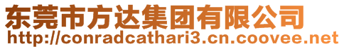 東莞市方達(dá)集團(tuán)有限公司