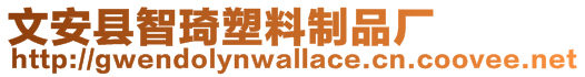 文安縣智琦塑料制品廠