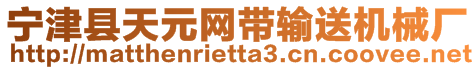 寧津縣天元網(wǎng)帶輸送機(jī)械廠