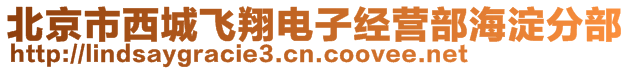 北京市西城飛翔電子經(jīng)營部海淀分部