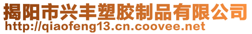揭陽市興豐塑膠制品有限公司