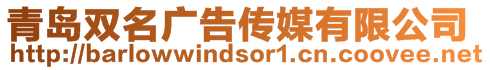 青島雙名廣告傳媒有限公司