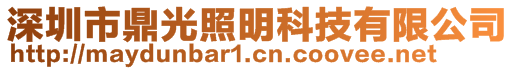 深圳市鼎光照明科技有限公司