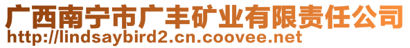 廣西南寧市廣豐礦業(yè)有限責任公司