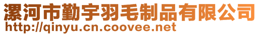 漯河市勤宇羽毛制品有限公司
