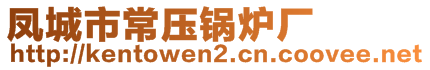 鳳城市常壓鍋爐廠