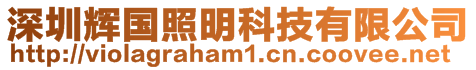 深圳輝國照明科技有限公司