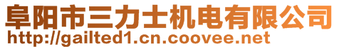 阜陽市三力士機電有限公司
