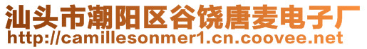 汕頭市潮陽(yáng)區(qū)谷饒?zhí)汽滊娮訌S(chǎng)