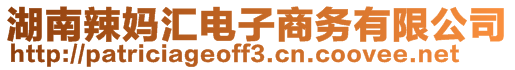 湖南辣媽匯電子商務有限公司