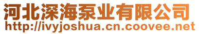 河北深海泵業有限公司