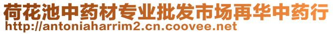 荷花池中药材专业批发市场再华中药行