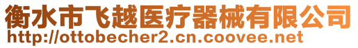 衡水市飛越醫(yī)療器械有限公司