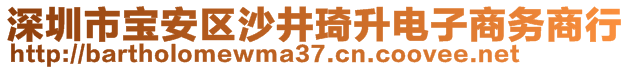 深圳市寶安區(qū)沙井琦升電子商務(wù)商行