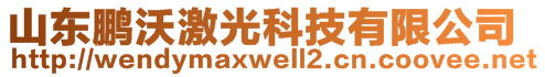 山东鹏沃激光科技有限公司