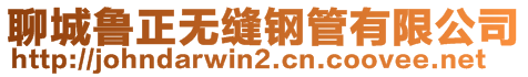 聊城魯正無縫鋼管有限公司