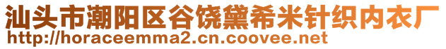 汕頭市潮陽區(qū)谷饒黛希米針織內(nèi)衣廠