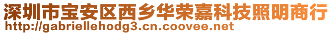 深圳市寶安區(qū)西鄉(xiāng)華榮嘉科技照明商行