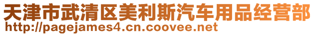 天津市武清区美利斯汽车用品经营部