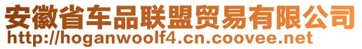 安徽省車品聯(lián)盟貿(mào)易有限公司