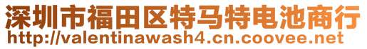 深圳市福田區(qū)特馬特電池商行