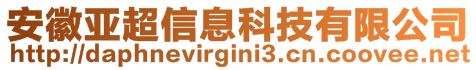 安徽亞超信息科技有限公司