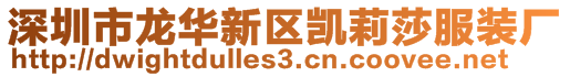 深圳市龍華新區(qū)凱莉莎服裝廠