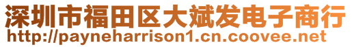 深圳市福田區(qū)大斌發(fā)電子商行