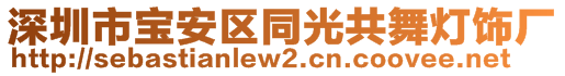 深圳市寶安區(qū)同光共舞燈飾廠