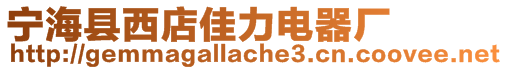 寧?？h西店佳力電器廠