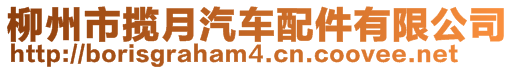 柳州市攬月汽車配件有限公司