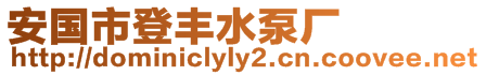 安國市登豐水泵廠