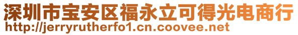 深圳市寶安區(qū)福永立可得光電商行