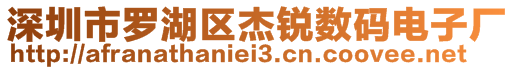 深圳市羅湖區(qū)杰銳數(shù)碼電子廠