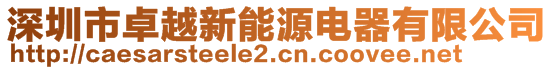 深圳市卓越新能源電器有限公司