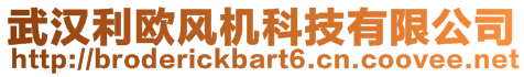 武漢利歐風機科技有限公司