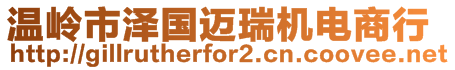 溫嶺市澤國(guó)邁瑞機(jī)電商行