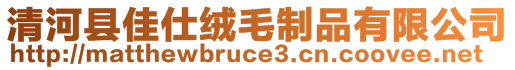 清河縣佳仕絨毛制品有限公司