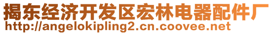 揭東經濟開發(fā)區(qū)宏林電器配件廠