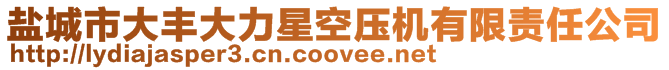 鹽城市大豐大力星空壓機(jī)有限責(zé)任公司