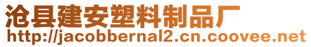 滄縣建安塑料制品廠