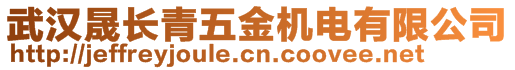 武漢晟長青五金機(jī)電有限公司