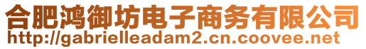 合肥鴻御坊電子商務有限公司