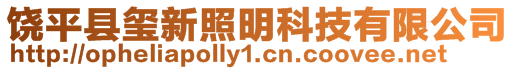 饒平縣璽新照明科技有限公司