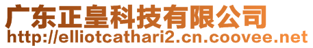 廣東正皇科技有限公司