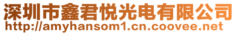 深圳市鑫君悦光电有限公司