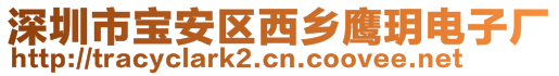 深圳市宝安区西乡鹰玥电子厂