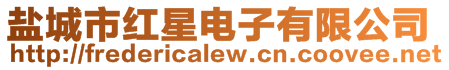 鹽城市紅星電子有限公司