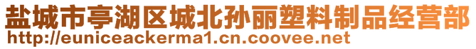 鹽城市亭湖區城北孫麗塑料制品經營部