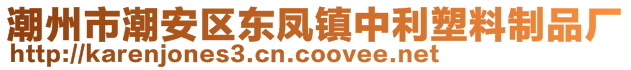 潮州市潮安區(qū)東鳳鎮(zhèn)中利塑料制品廠